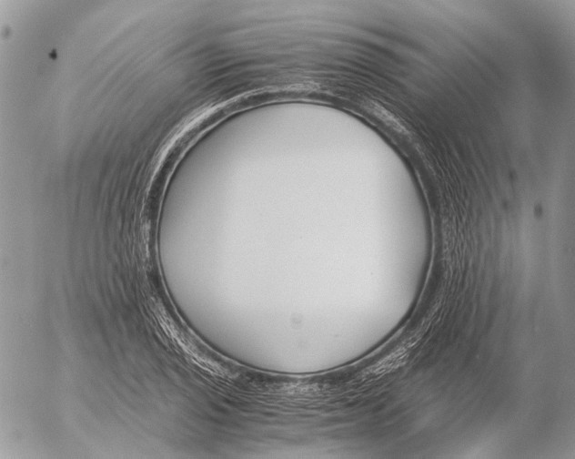 X0000053071029200508081214