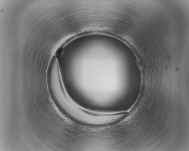 X0000053071030200508081214