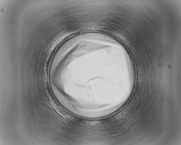 X0000053071031200508081214