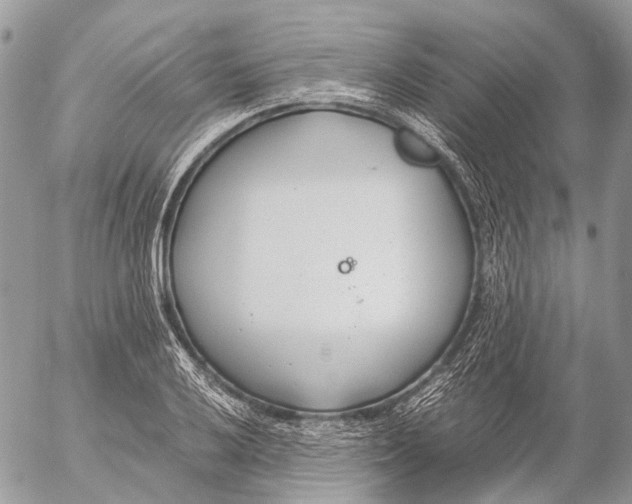 X0000053071032200508081214