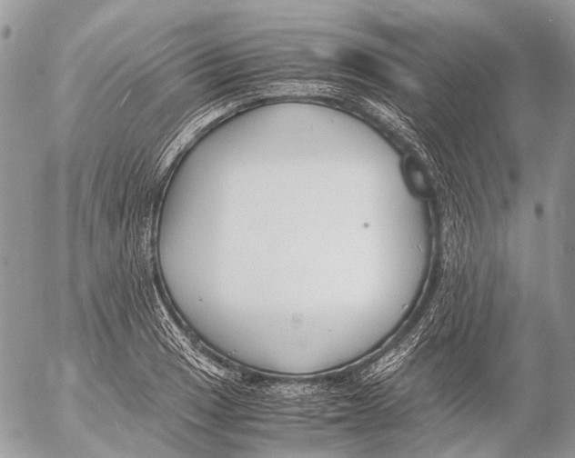 X0000053071033200508081214