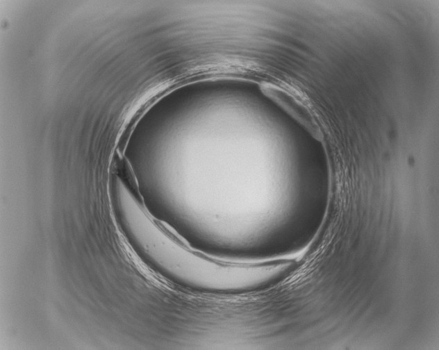 X0000053071034200508081214