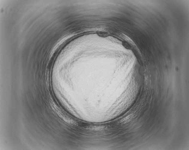 X0000053071035200508081214