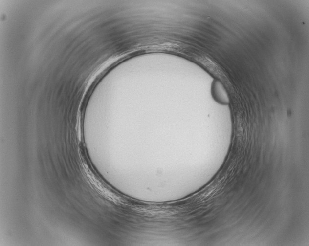 X0000053071036200508081214