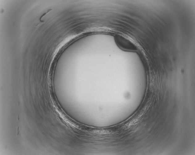 X0000053071037200508081214