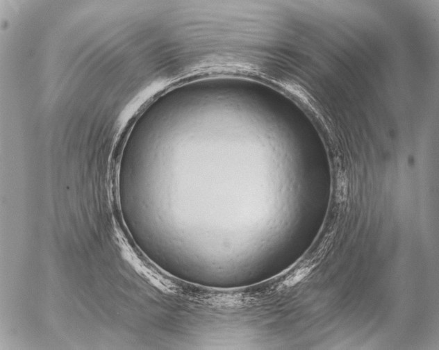 X0000053071038200508081214