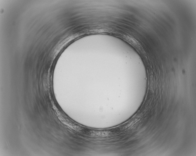 X0000053071039200508081214