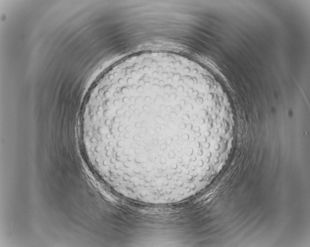 X0000053071040200508081214