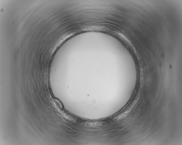 X0000053071041200508081214