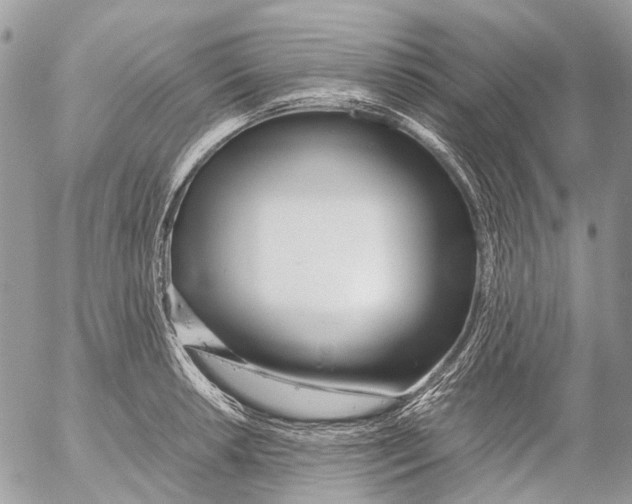 X0000053071042200508081214