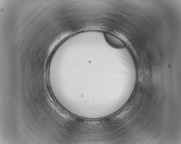 X0000053071043200508081214