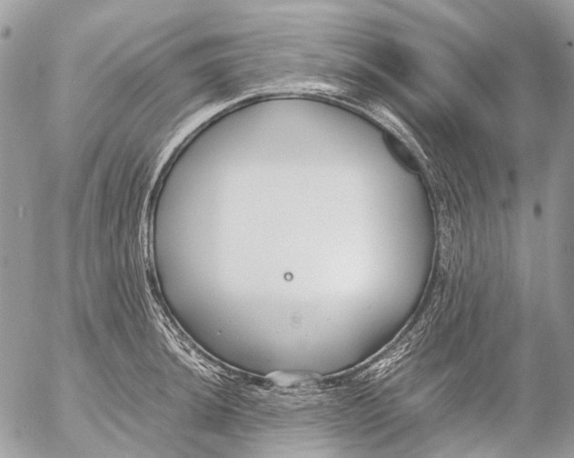 X0000053071044200508081214