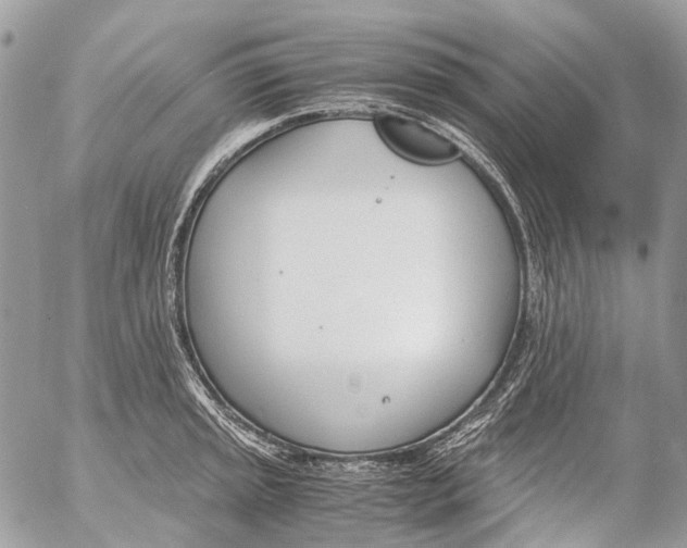 X0000053071045200508081214