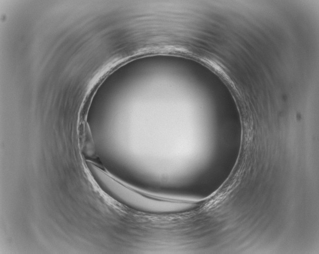 X0000053071046200508081215