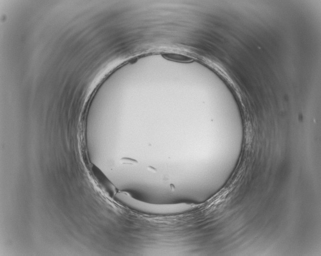 X0000053071048200508081215