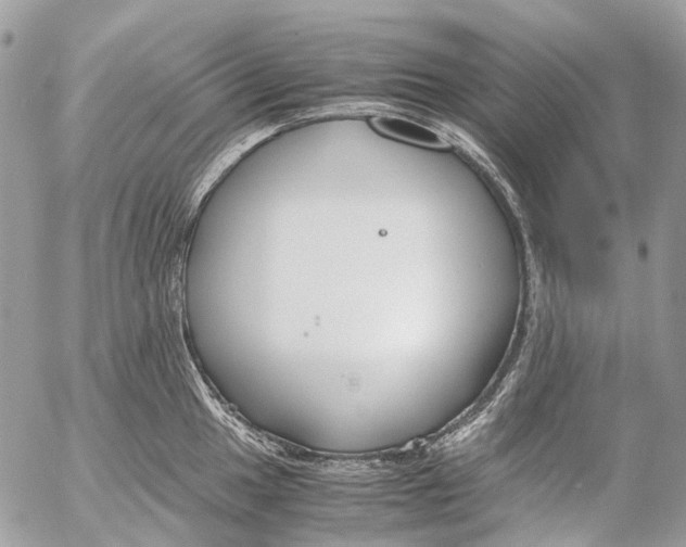 X0000053071049200508081215