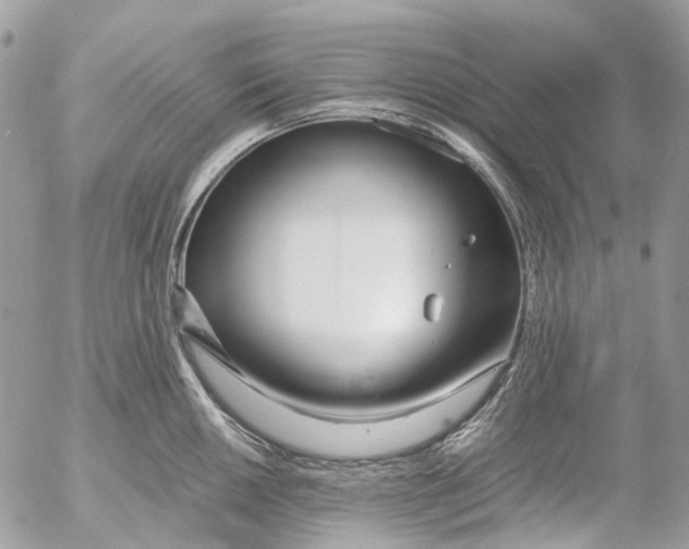 X0000053071050200508081215