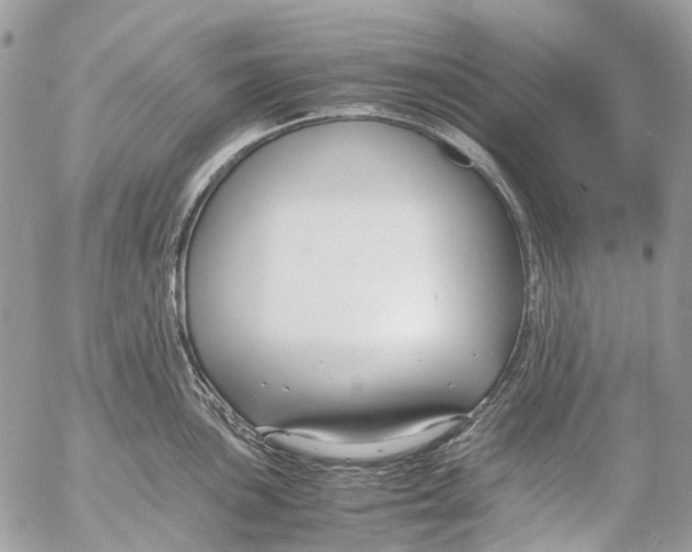 X0000053071051200508081215