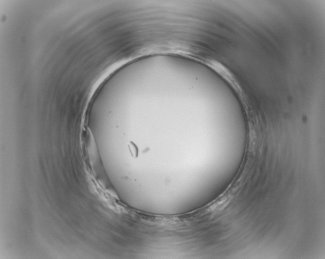 X0000053071052200508081215