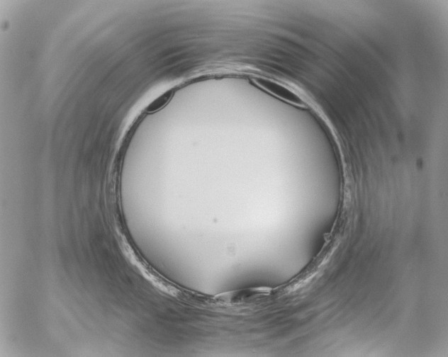 X0000053071053200508081215