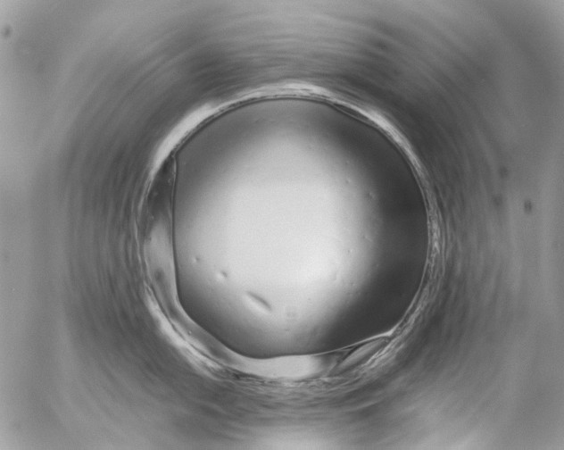 X0000053071054200508081215