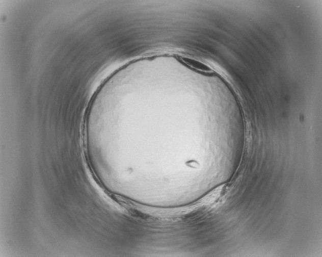 X0000053071055200508081215