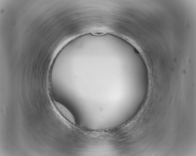 X0000053071056200508081215