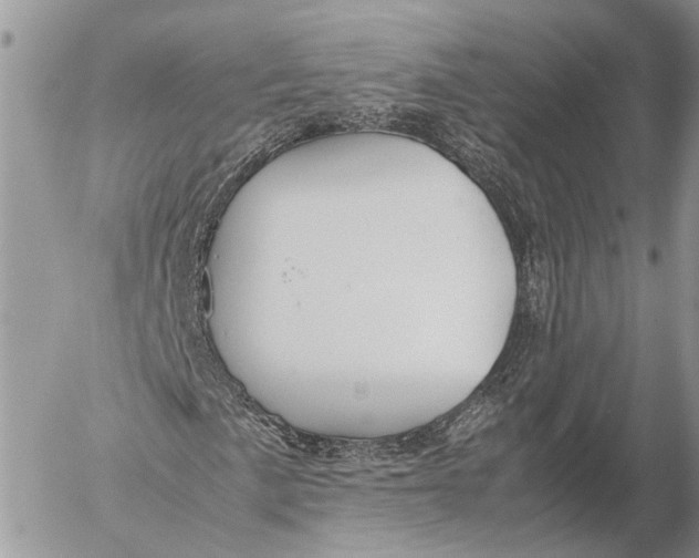 X0000053071057200508081214