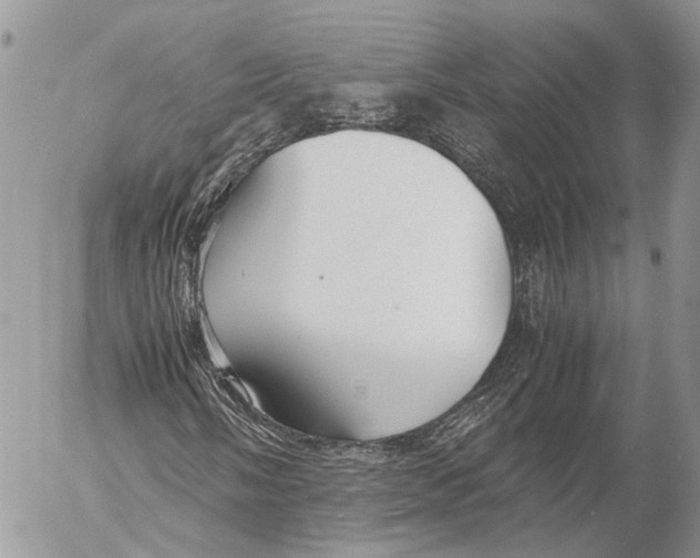 X0000053071058200508081214