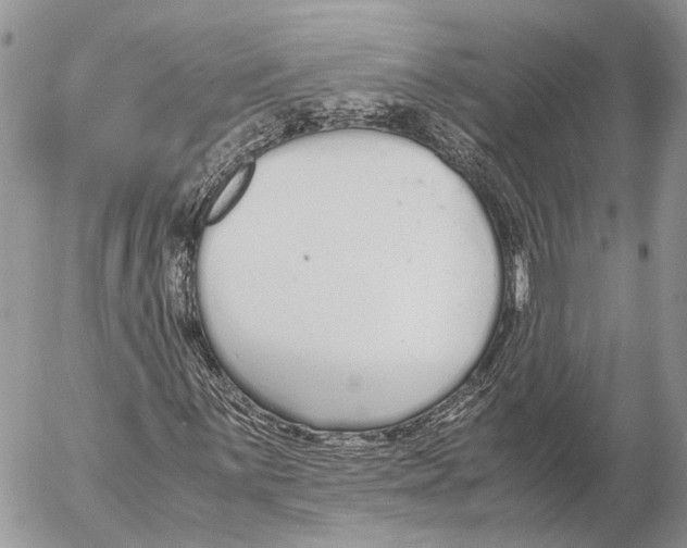 X0000053071059200508081214