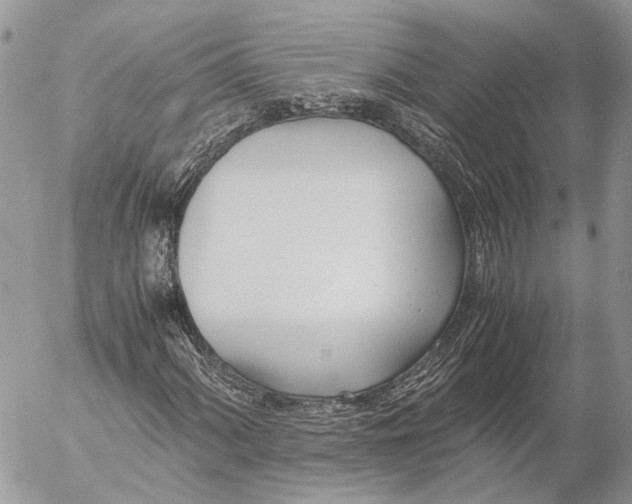 X0000053071060200508081214