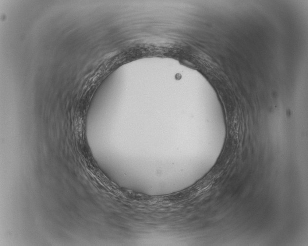 X0000053071061200508081214