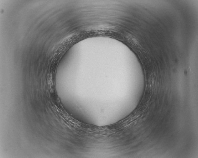 X0000053071062200508081214