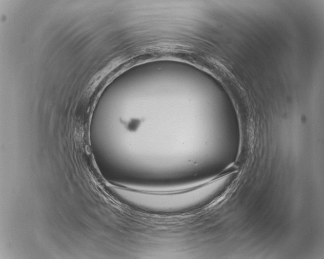 X0000053071065200508081214