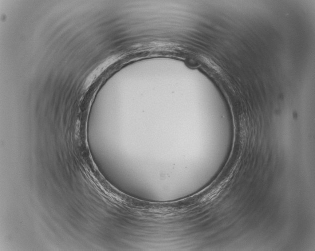 X0000053071066200508081214