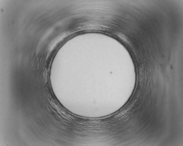 X0000053071067200508081214