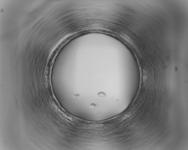 X0000053071068200508081214