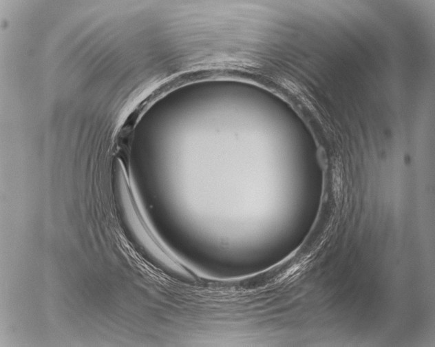 X0000053071069200508081214