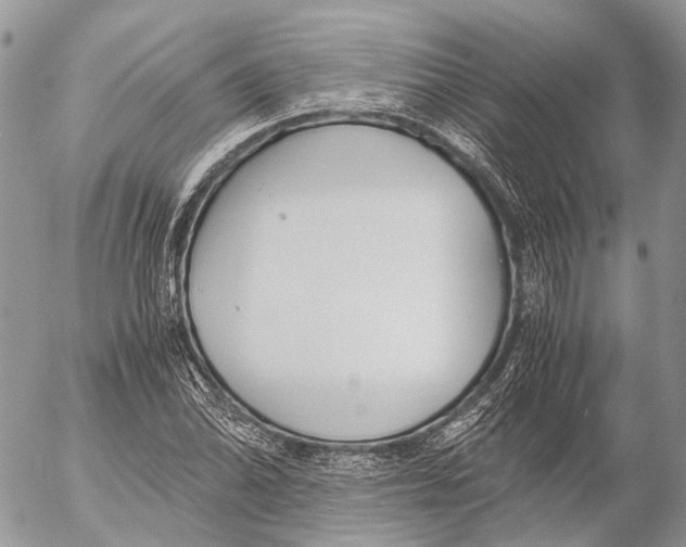 X0000053071070200508081214