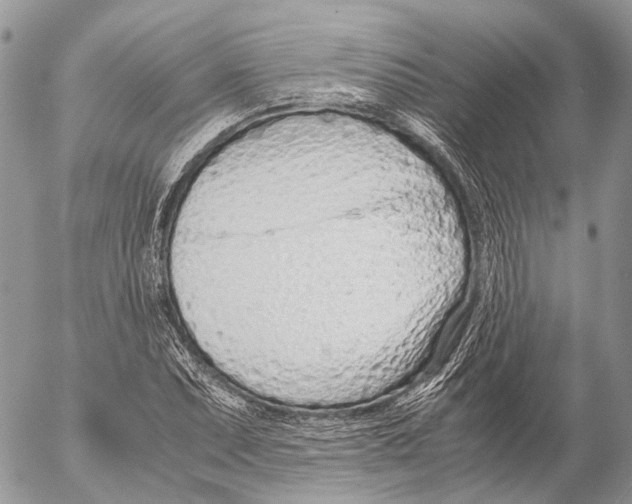 X0000053071071200508081214