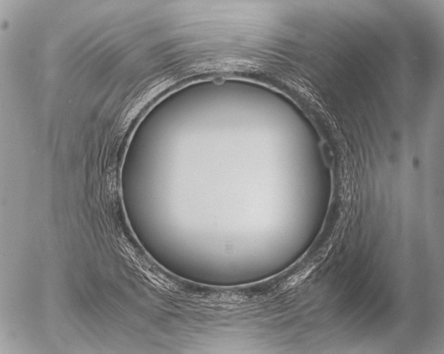 X0000053071073200508081214