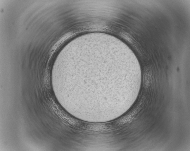 X0000053071074200508081214