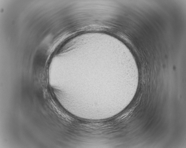 X0000053071075200508081214