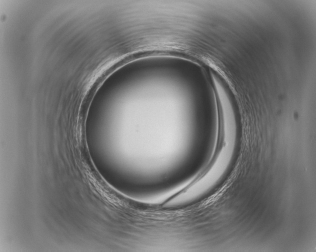 X0000053071077200508081214