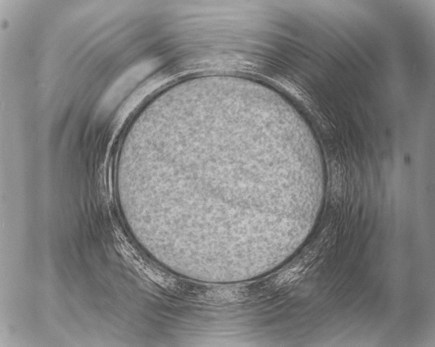 X0000053071078200508081214