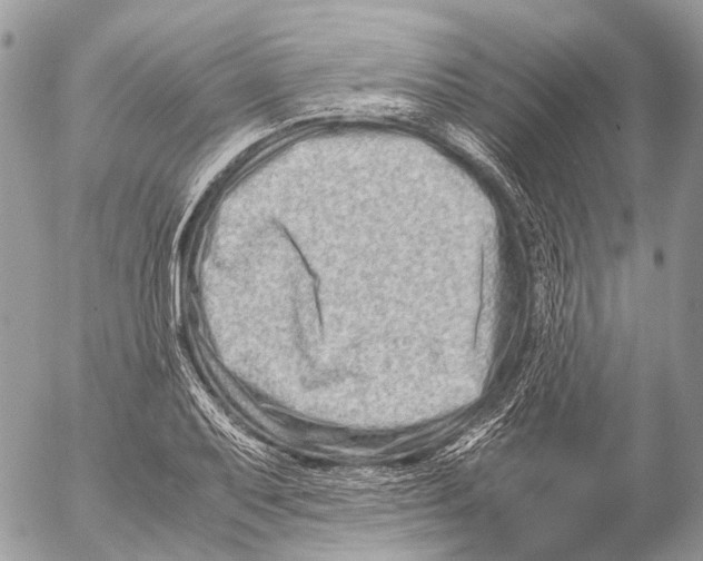 X0000053071079200508081214