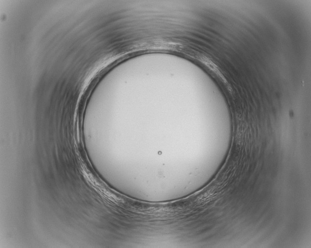 X0000053071080200508081213