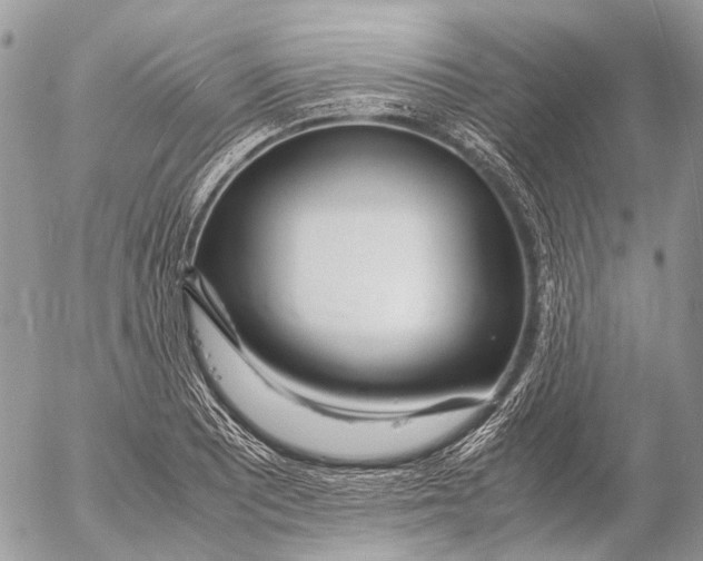 X0000053071081200508081213