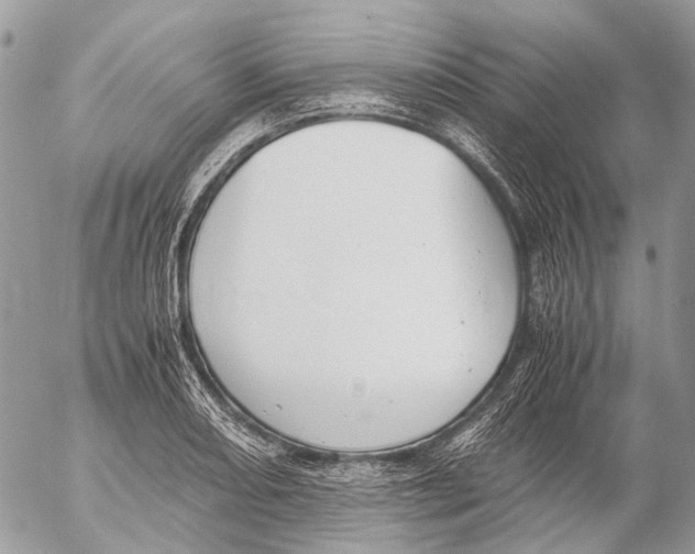 X0000053071082200508081213