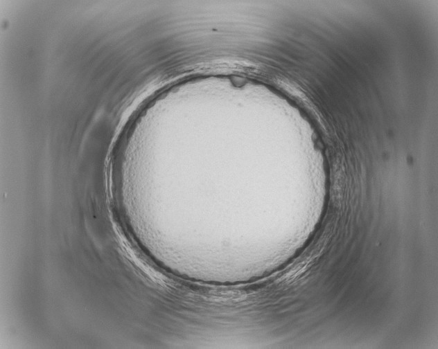 X0000053071083200508081213